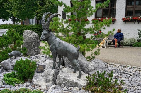 Ibex figure, Riezlern