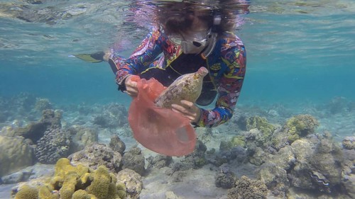 Woman in diving equipment swims and collects plastic debris underwater on the bottom of coral reef. Snorkeler cleaning Ocean from plastic pollution. Plastic pollution of the Ocean. Red sea, Egypt