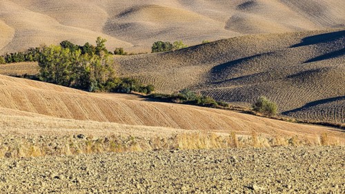Hilly and ploughed field, near Asciano