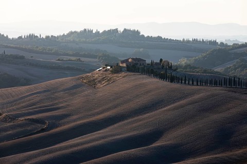 Country house with cypress avenue, in hilly landscape