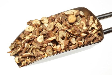 Medicinal plant Thorow-wax, Hare's ear