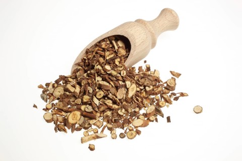 Medicinal plant Thorow-wax, Hare's ear