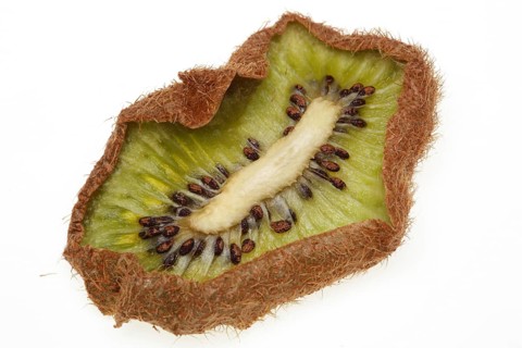 Dried kiwi slice,