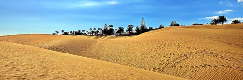 The dunes of Playa Del Ingles with a view of the oasis. San Bartolome de Tirajana, Gran Canaria