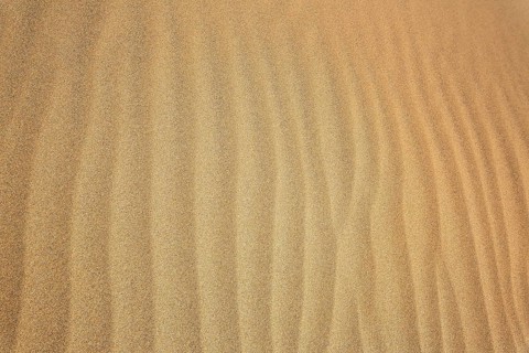 The dunes of Playa Del Ingles in detail. San Bartolome de Tirajana, Gran Canaria