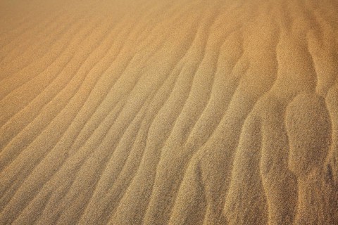 The dunes of Playa Del Ingles in detail. San Bartolome de Tirajana, Gran Canaria