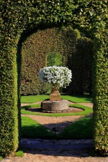 White petunias in a historic flower pot, Jardins du Manoir d'Eyrignac