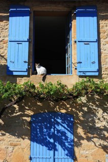 Cat sitting in an open window with blue shutters, Montignac-Lascaux
