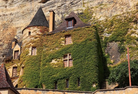 Facade greening, La Roque-Gageac