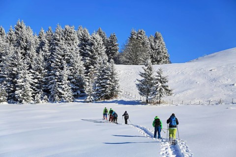 Snowshoe hike on the Beilenberg in a wonderful winter landscape. Sonthofen, Upper Allgaeu
