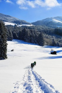 Snowshoe hike on the Beilenberg in a wonderful winter landscape. Sonthofen, Upper Allgaeu