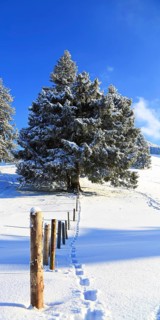 Wonderful winter landscape with blue sky and sunshine. Sonthofen, Oberallgaeu