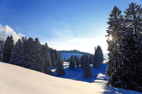 Wonderful winter landscape in the backlight. Sonthofen, Oberallgaeu