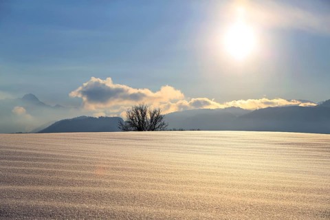 Wonderful winter landscape in the backlight. Sonthofen, Oberallgaeu