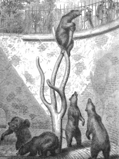 Bears in the bear pit of the Berlin Zoological Garden, digitally restored reproduction of a 19th century original