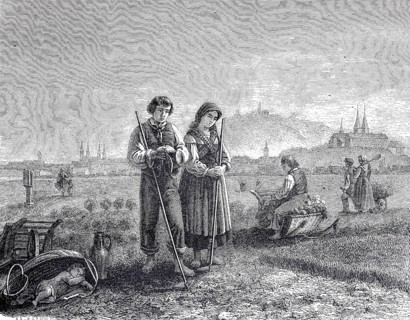 Agriculture, Bamberg gardener in the field