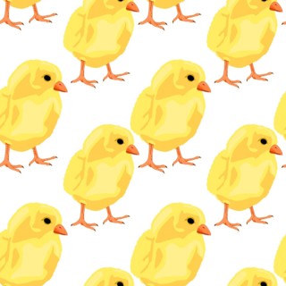 Baby chicken seamless pattern on white, vector background