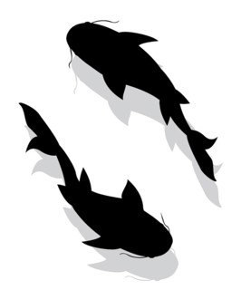 Two fishes silhouettes vectors over white background,