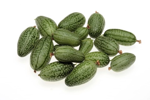 Melothria scabra,