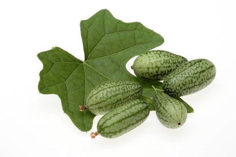 Melothria scabra,