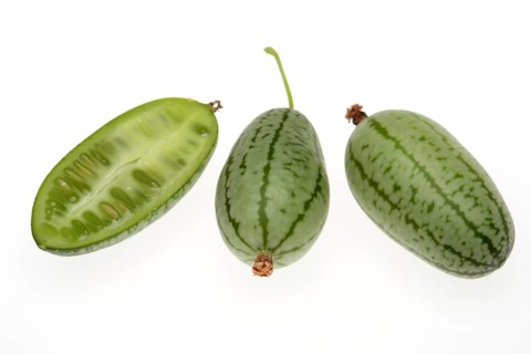 Melothria scabra,