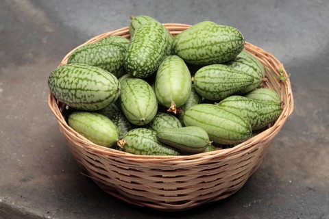 Melothria scabra,