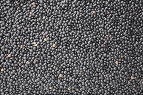 Black beluga lentils,