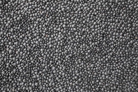 Black beluga lentils,