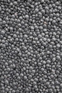 Black beluga lentils,
