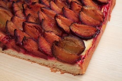 Plums on a plum cake,