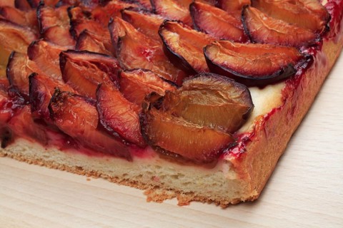 Plums on a plum cake,