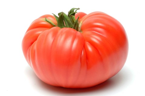 Ripe tomato of the Cuore di bue variety, oxheart tomato