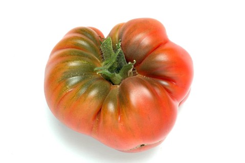 Ripe tomato of the Cuore di bue variety, oxheart tomato