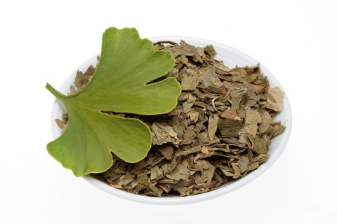 Dried ginkgo,