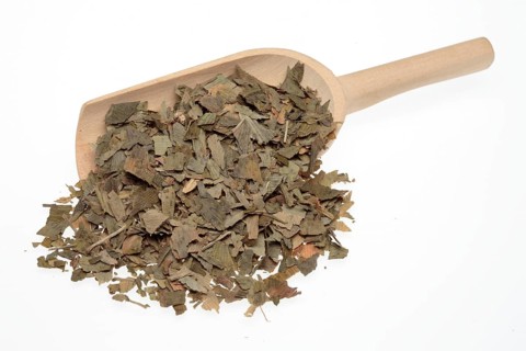 Dried ginkgo,