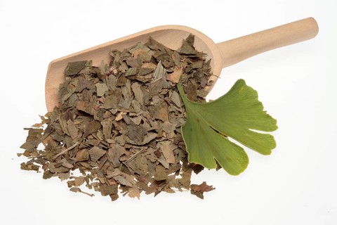 Dried ginkgo,