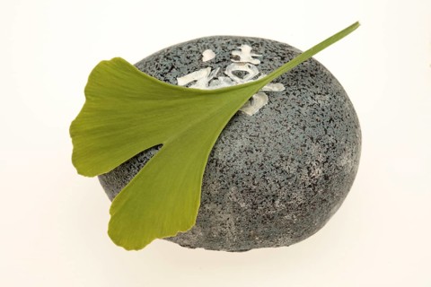 Ginkgo,