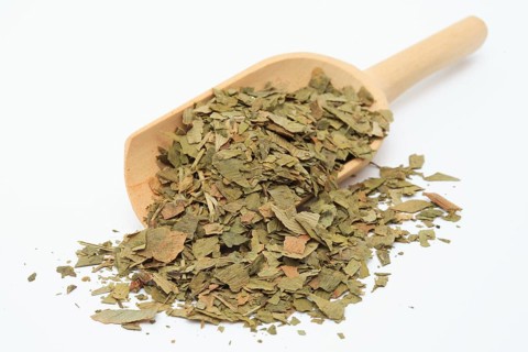 Dried ginkgo,
