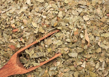 Dried ginkgo,