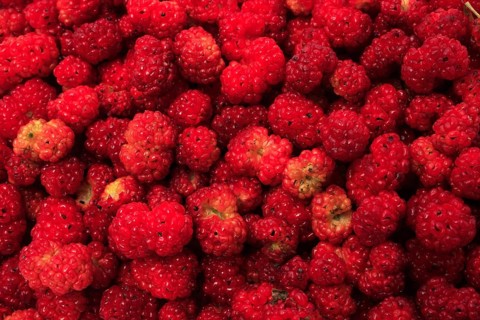 The spiked strawberry spinach,