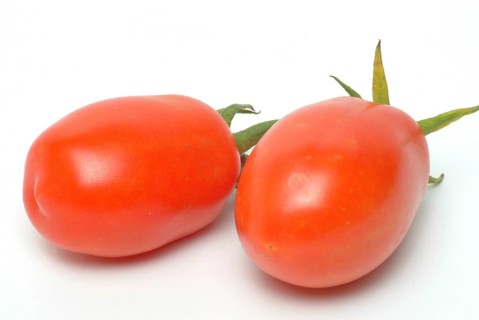 Ripe tomatoes of the variety San Marzano tomatoes, Pomodoro San Marzano dell'Agro Sarnese Nocerino