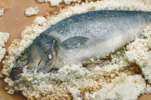 Preparation, edible fish gilt-head sea bream