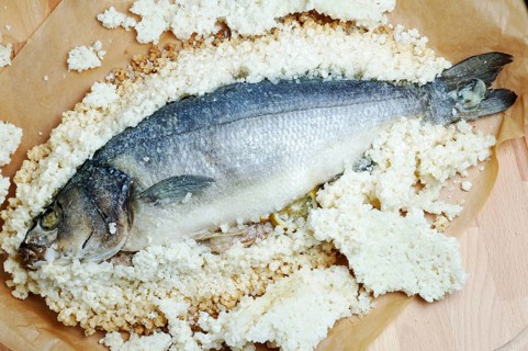Preparation, edible fish gilt-head sea bream