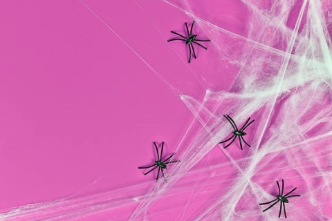 Spider webs and plastic spiders on right side of pink Halloween background with empty copy space,