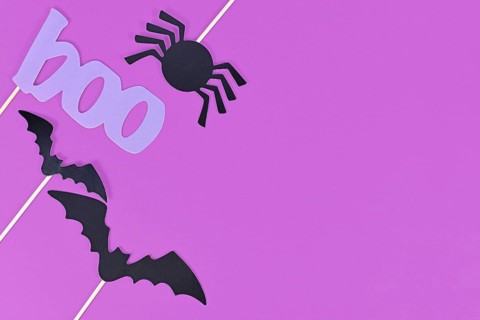 Halloween background with photo props on sticks in shape of black bats, spider and violet word boo on purple background with copy space