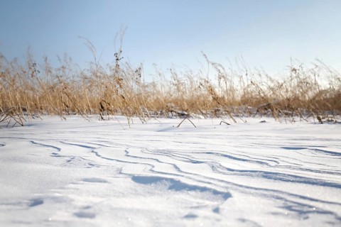 Snow drifts caused by wind from powder snow look like dunes and form bizarre patterns and structures,