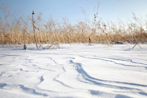 Snow drifts caused by wind from powder snow look like dunes and form bizarre patterns and structures,