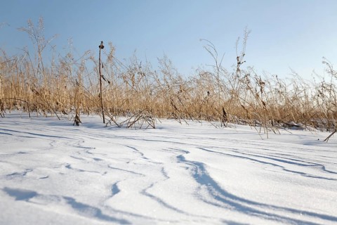 Snow drifts caused by wind from powder snow look like dunes and form bizarre patterns and structures,