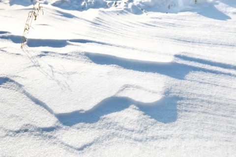 Snow drifts caused by wind from powder snow look like dunes and form bizarre patterns and structures,