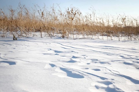 Snow drifts caused by wind from powder snow look like dunes and form bizarre patterns and structures,